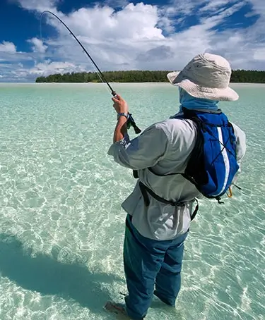 Fish the Mangroves with Privateers Charters