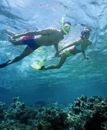 Snorkeling at Honeymoon Harbour