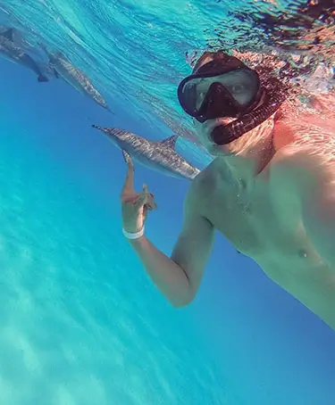 Go Swimming with Wild Dolphins