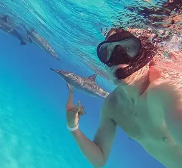Swimming with Wild Dolphins