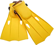 scuba flippers