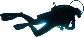 scuba diver silhouette