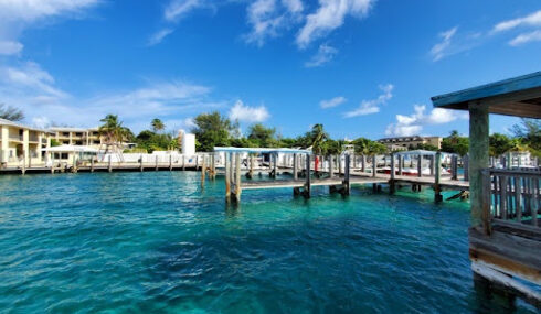 Mangrove Fishing in Bimini